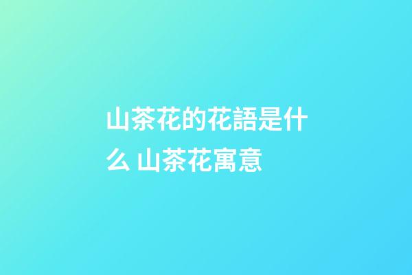 山茶花的花語是什么 山茶花寓意